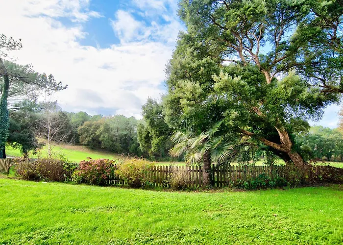 Village - Maeva - 5 Personnes - Confort Mae-4984 Lejlighed